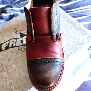 Freebird by Steven Catalina